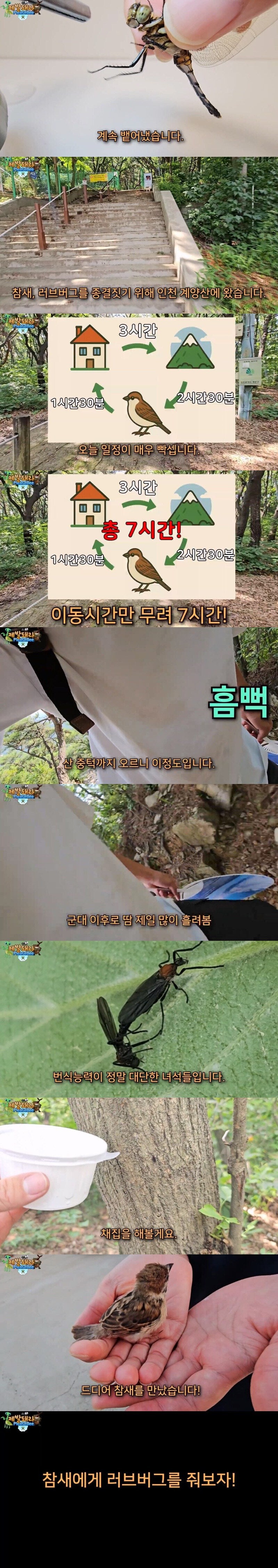 러브버그와 참새 근황_3.jpg